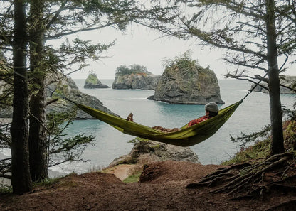 Wallaby Hammock with Straps
