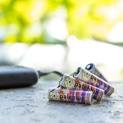 VIVID Footprints on Katmai AA USB Rechargeable Lithium Batteries